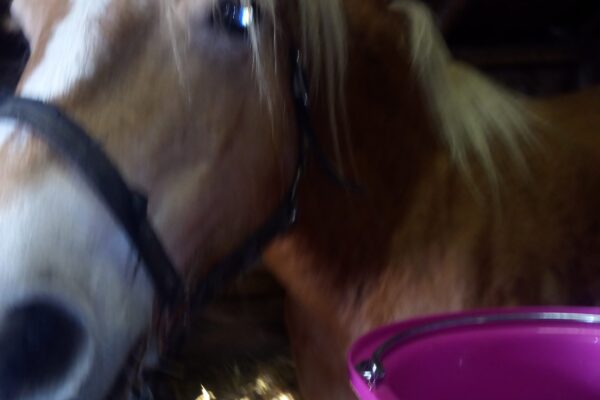 Miłość rośnie wokół Nas…